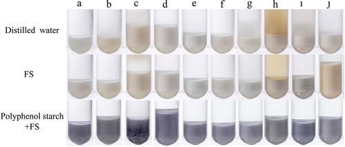 Figure 5. Color photos of 10 starches. The colors of Mung bean starch (A), maize starch (B), wheat starch (C), glutinous rice starch (D), sweet potato starch (E), potato starch (F), cassava starch (G), kudzu starch (H), buckwheat starch (I) and water chestnut starch (J) dissolved in distilled water are presented in the first row. The colors of the mixture of starches and FS are presented in the second row. The colors of the mixture of polyphenol-rich starches and FS are presented in the third row.