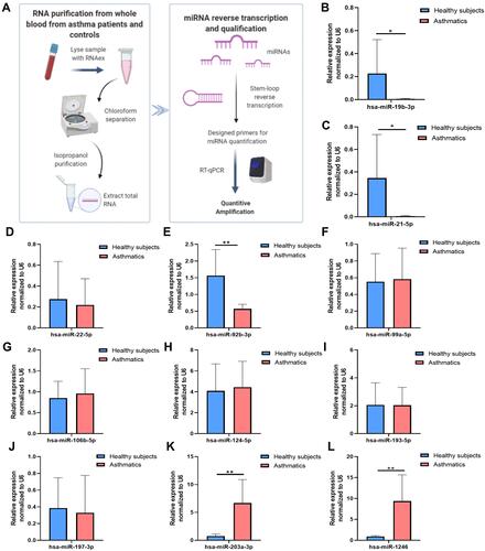 Figure 4 DE-miRNAs in blood samples in patients with asthma and healthy controls. (A) A flow chart for quantification of the selected miRNAs in blood (B) hsa-miR-19b-3p (C) hsa-miR-21-5p (D) hsa-miR-22-5p (E) hsa-miR-92b-3p (F) hsa-miR-99a-5p (G) hsa-miR-106b-5p (H) hsa-miR-124-5p (I) hsa-miR-193a-5p. (J) hsa-miR-197-3p (K) hsa-miR-203a-3p (L) hsa-miR-1246. Data are represented as means±SEMs from 3 independent experiments. *P < 0.05; **P < 0.01.