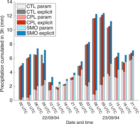 Fig. 5 Precipitation cumulated every 3 h (RR3) averaged over the Cvn box shown in Fig. 6a. Cv=convective rain (resulting from the parametrisation scheme), non Cv=rain resulting from resolved processes in CTL, CPL and SMO simulations; no graupel was recorded.