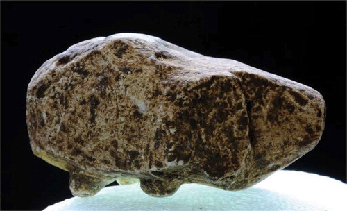 Figure 3. The Stonehenge pig ‘toy’. Length 55mm. (Adam Stanford © Aerial-Cam Ltd, SRP 2008.)