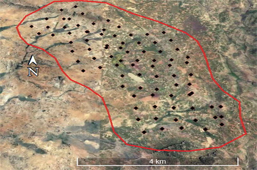 Figure 4. Soil sampling location.