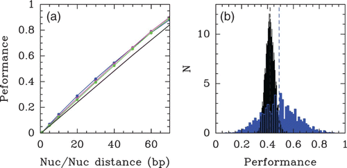 Figure 40. Performances of our physical model (μ˜=−1.3 kT, δ=2 kT, l w =125 bp ) and of Yuan and Liu Citation(2008) N-score model in terms of well-positioned nucleosomes as obtained by HMM methods. The comparison is made against the set of well-positioned nucleosomes obtained by Lee et al. Citation(2007) on their S. cerevisiae in vivo experimental data using a similar HMM algorithm. Performance is measured by the proportion of true positive i.e. well-predicted positioned nucleosomes at a given overlapping distance of an experimental nucleosome. (a) Mean performance value versus the overlapping distance for the theoretical predictions of our physical model for the nucleosome occupancy profile (blue) and the energy landscape (green), and the Yuan and Liu N-score model (magenta). (b) Statistics of the performance values (at 35 bp accuracy) computed in a sliding window of size 5 kbp along the entire S. cerevisiae genome for our theoretical nucleosome occupancy predictions (blue) and for the random control (black). The vertical dashed lines (black and blue) indicate the corresponding mean values.