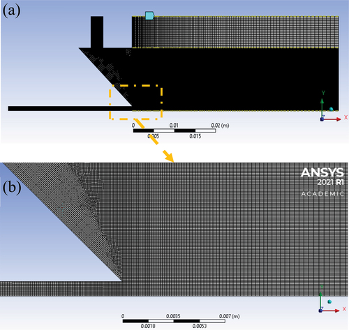 Figure 16. Mesh generated in ANSYS meshing for (a) 1-mm back gap and (b) refinement detail in the second impingement zone
