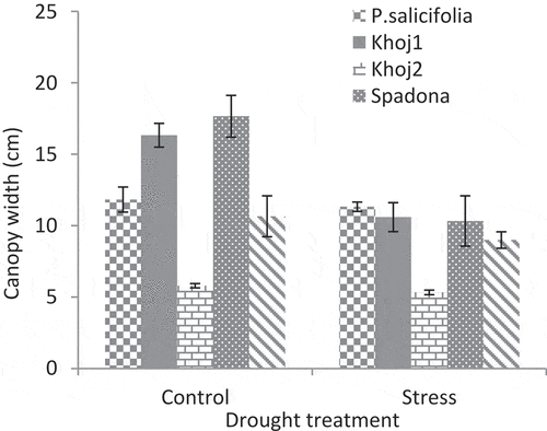 Figure 4. Interaction effect of drought stress and pear species on canopy width.