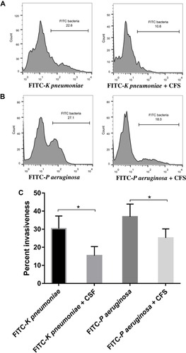 Figure 3 CFS of lactobacilli decreased the invasive ability of FITC-labelled K pneumoniae (A) and FITC-labelled P aeruginosa (B) on 293 cells. The mean percent of 15 independent experiments using 15 different clinical isolates of K pneumoniae and P aeruginosa is shown in (C). 293 Cells were treated with indicated FITC-labelled bacteria in normal culture or in the presence of CFS and analyzed after 6 h of incubation with flow cytometry. *Refer to significant difference with p<0.05.