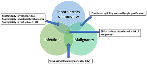 Figure 4 Overlaps in the pathogenesis of lymphoproliferation in IEI, infections, and malignancies.