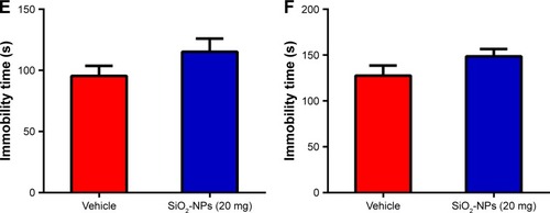 Figure 10 Effects of SiO2-NP exposure on anxiety-like and depressive-like behaviors.Notes: (A) Percentage of time spent in the open arm, (B) percentage of entries into open arm in the plus maze are shown, (C) time in the light side of chamber, and (D) total number of transitions between the light and dark side of chamber. SiO2-NP exposure did not result in significant differences in immobility times in the last 4 min of the (E) FST or (F) TST. All results are presented as the mean ± SEM (n=11 for vehicle, n=9 for the SiO2-NP-treated group); *p<0.05.Abbreviations: SiO2-NPs, silica nanoparticles; SEM, standard error of the mean; FST, forced swimming test; TST, tail suspension test.