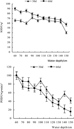 Figure 3. The variation of SOD and POD activity at different water depths.