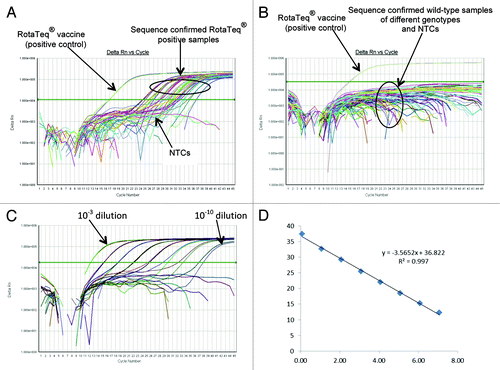 Figure 3. Performance of the RotaTeq® VP6 qRT-PCR Assay. (A) Amplification plot of RotaTeq® VP6 qRT-PCR assay using sequence confirmed RotaTeq® positive stool samples. (B) Amplification plot of RotaTeq® VP6 qRT-PCR assay using sequence confirmed wild-type stool samples. (C) Amplification plot of RotaTeq® VP6 qRT-PCR assay using 10-fold serial dilutions of RotaTeq® VP6 vaccine derived dsRNA transcript. (D) Correlation between RotaTeq® VP6 qRT-PCR assay threshold value (Ct) and log copy number.