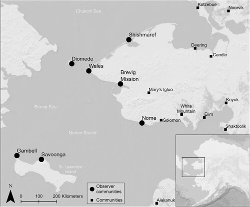 Figure 2. Sea Ice for Walrus Outlook (SIWO) observer communities in the northern Bering Sea and southern Chukchi Sea regions in Alaska (n = 7).