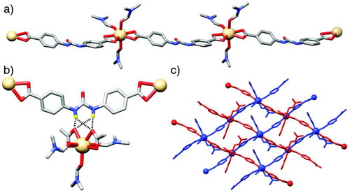 Figure 2. (Colour online) The solid state structure of [Cd(L)DMF3]n. (a) One dimensional chains of Cd2+ cations linked by molecules of L 2– . (b) Interligand hydrogen bonding between the urea units of molecules of L 2– from one chain and carboxylate units of molecules of L 2– from an adjacent chain. (c) Assembly of the one dimensional polymers of [Cd(L)(DMF)3]n into an infinite two dimensional grid structure, with chains of individual sheets coloured red and blue. H atoms other than the N-H units removed for clarity in part (b).
