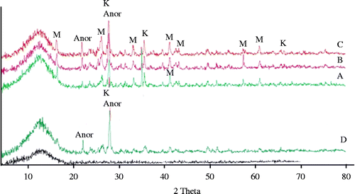 Figure 6 XRD patterns of the parent glass and various formulations treated at 1000°C for 2 h. M, mullite; K, kyanite; S, cristobalite; anor, anorthite and C, corundum.