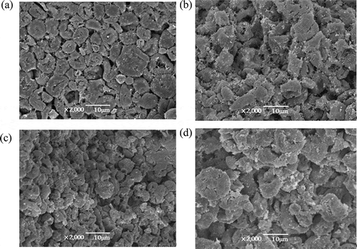 Figure 5. Morphology of the different ratios of soybean 7S globulin in corn amylose. Total mass was fixed, whereas the added protein was varied at A: 0%; B: 6%; C: 10%; and D: 14%.