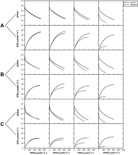 Figure 1. Regression lines for the data points of and ETR in relation to PPFD (averages for three plants; n = 9) in three varieties of V. radiata during first, second, third, and fourth day of drought stress. A – var. RMG 268, B – var. K-851, C – var. Anand.