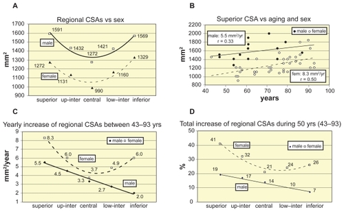 Figure 2 Regional cross sectional areas versus aging and sex. A) Regional CSAs. B) Superior CSA vs aging and sex. C) Yearly increase of regional CSAs vs sex. D)Total increase of regional CSAs vs sex.