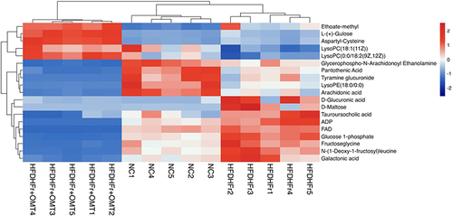 Figure 4 Other metabolites with significant differences among the three groups in liver samples. Red represents high expression and blue represents low expression.