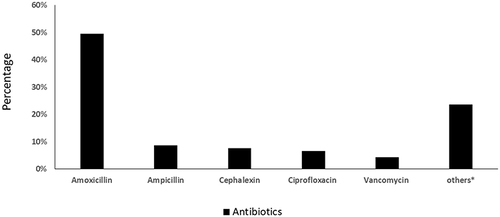 Figure 2 Antibiotics used by the study population. *Category composed of azithromycin, penicillin G benzathine, penicillin, clindamycin, metronidazole, dicloxacillin, erythromycin, gentamicin, lincomycin, meropenem, piperacillin, tetracycline.