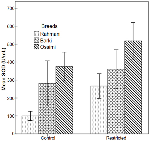 Figure 7 Superoxide dismutase (SOD) levels in control and diet-restricted Barki, Rahmani, and Ossimi ewes.