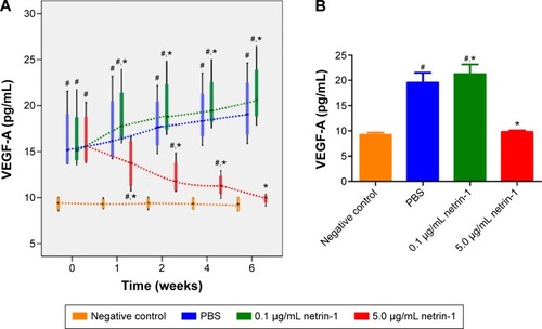 Figure 5 Effect of netrin-1 on VEGF-A expression in the retinas of STZ-induced diabetic rats.