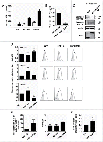 Figure 3. HSP110DE9 hampers HSP110 release (A) Concentration of extracellular HSP110 in the supernatant of Lovo, HCT116 and SW480 transfected with a control GFP plasmid or a plasmid coding HSP110-GFP and measured by ELISA (n = 3) *p < 0.05 ; **p < 0.01. (B) ELISA quantification of HSP110 in the extracellular medium of SW480 transfected with a control GFP or HSP110DE9-GFP plasmid (n = 3) *p < 0.05. (C) Immunoblot analysis of HSP110 in the supernatant of HCT116, transfected with a HSP110-GFP plasmid with or without a plasmid coding HSP110DE9-GFP. (D) Flow cytometry analysis of HLA-DR (n = 6), CD163 (n = 6) and CD206 (n = 6) expression on macrophages derived from monocytes in the presence of supernatant from SW480 cells transfected with a control GFP, HSP110-GFP or a HSP110DE9-GFP plasmid. Left, data of all experiments; Right, representative data *p < 0.05; **p < 0.01; ***p < 0.001. (E) TNFa, and NO (nitrite) secreted by macrophages derived from monocytes in the presence of SW480 transfected as in C, and stimulated for 24 h with LPS (n = 4, *p < 0.05). (F) Percentage of proliferating allogeneic T cells after 3 d of culture with 104 macrophages derived from monocytes in the presence of supernatant from SW480 transfected with a control GFP or a HSP110DE9-GFP (n = 3). *p < 0.05.