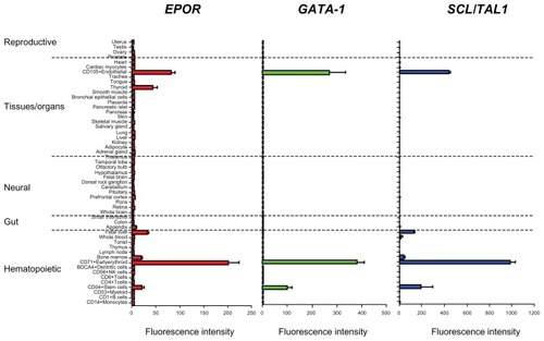 Figure 3 Erythropoietin receptor (EPOR), GATA-1, and SCL/Tal1 have similar transcript profiles in normal human tissue.