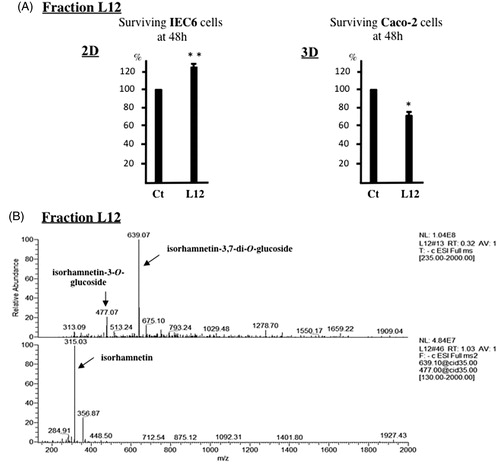 Figure 4. Flavonol glycosides from D. harra are cytotoxic for inflammatory and cancer intestinal cells. (A) The flavonol glucosides-enriched fraction L12 from F6 was incubated with serum-starved IEC6 and Caco-2 cells at 100 and 150 μg/mL, respectively. 24 h after surviving cells were measured with MTS. Data are mean ± S.E.M. (n = 2 to 3), comparison to the control: p < 0.05*, p < 0.01**. (B) Full-MS spectrum of the L12 fraction and of its two main ions.