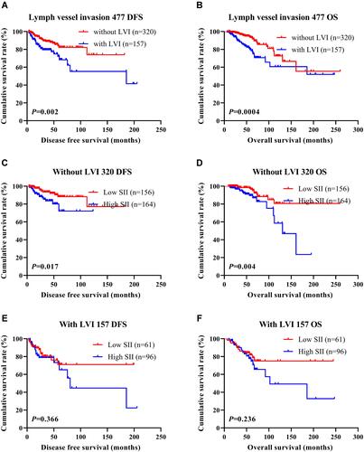 Figure 7 DFS and OS based on the presence of lymph vessel invasion in breast cancer patients (NACT group). (A) DFS, as shown by Kaplan–Meier analysis based on the SII of all patients with breast cancer. (B) OS, as shown by Kaplan–Meier analysis based on the SII of all patients with breast cancer. (C) DFS, as shown by Kaplan–Meier analysis based on the SII of breast cancer patients without lymph vessel invasion. (D) OS, as shown by Kaplan–Meier analysis based on the SII of breast cancer patients without lymph vessel invasion. (E) DFS, as shown by Kaplan–Meier analysis based on the SII of breast cancer patients with lymph vessel invasion. (F) OS, as shown by Kaplan–Meier analysis based on the SII of breast cancer patients with lymph vessel invasion.