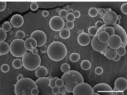 Figure 3 Scanning electron microscopic images of nanoparticles. Bar, 1 μm.