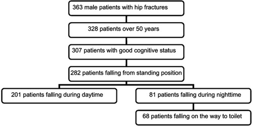 Figure 1 Flowchart representing the patient selection process.