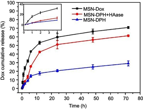 Figure 3 Cumulative release of Dox from MSN-Dox, MSN-DPH (consist of Dox loaded, TPP attached, HA capped mesoporous silica nanoparticles) and MSN-DPH with the presence of HAase versus time. Data were presented as mean±SD (n=3).Abbreviations: HAase, hyaluronidase; Dox, Doxorubicin; MSN, mesoporous silica nanoparticle.