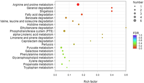 Figure 6 KEGG pathway analysis of type I and Type II. A total of 115 DEGs were assigned to 41 KEGG pathways. KEGG pathway analysis showed that 10 pathways were obviously changed (P-value <0.05) in theType I. Arginine and proline metabolism, fatty acid degradation, geraniol degradation and phosphotransferase system were overexpressed in type I.