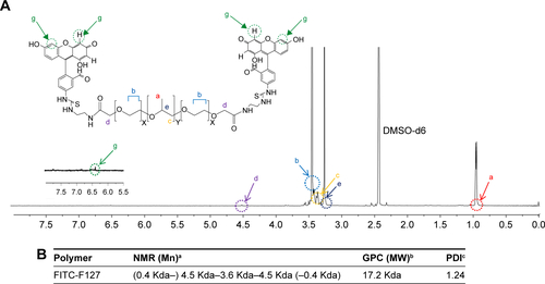 Figure S1 (A) 1H-NMR spectra of FITC-conjugated F127 and (B) characteristics of block copolymer by 1H NMR and GPC. aNumber average molecular weights are determined from the integration ratio of PPO segments at 0.9 ppm and to that of PEO segments at 3.4 ppm and FITC segments at 6.4 ppm in the 1H NMR. b,cWeight average molecular weight and PDI were measured by GPC.Abbreviations: DMSO, dimethyl sulfoxide; FITC, fluorescein isothiocyanate; GPC, gel permeation chromatography; MW, molecular weight; NMR, nuclear magnetic resonance; PDI, polydispersity index; PEO, Poly (ethylene oxide); PPO, Poly (propylene oxide).