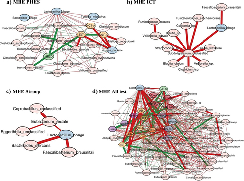 Figure 4. Cross-sectional correlation network shown centered around Lactobacillus phage (a) MHE PHES, (b) MHEICT, (c) MHE Stroop, and (d) MHE all test. Pink nodes: bacterial genera, blue nodes: viral genera, peach nodes: PHES subtests. Purple nodes: ICT values and Dark Pink nodes: Stroop values. Red lines: negative correlation and green lines: positive correlation.