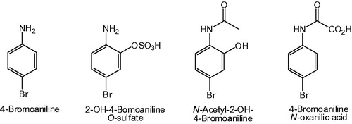 Figure 11. Structures of 4-bromoaniline and its major metabolites in rats.