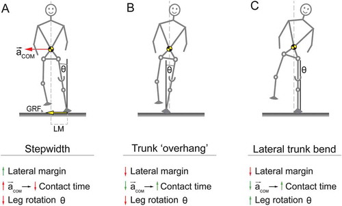 Figure 2. Possible explanation for mediolateral trunk bending as a stabilisation mechanism during prosthetic walking. For simplicity, forces, margins, and accelerations are only drawn in A. (A) Step width is increased without bending the trunk. (B) A hypothetical situation in which the entire body is rotated. (C) Lateral trunk bending including a slightly wider step, and a vertical orientation of the prosthetic leg.