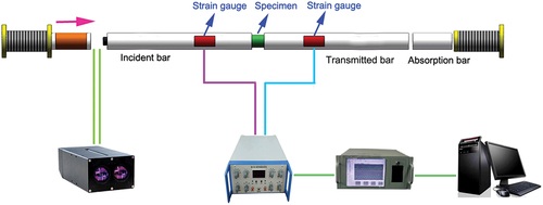 Figure 3. Schematic illustration of the Split Hopkinson pressure bar system.