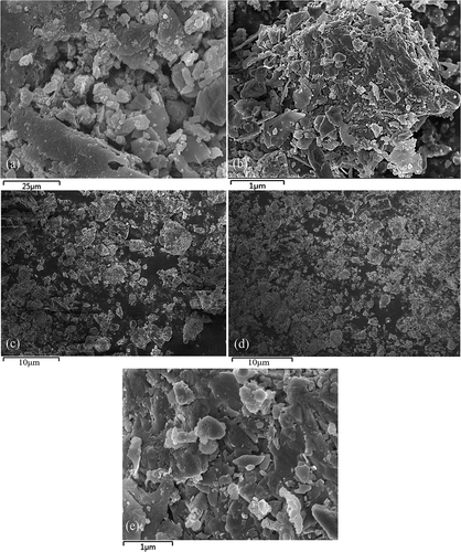 Figure 4. SEM images for the MBFD (a) 400x, (b) 10,000x; SEM images of the MBFD1(c)1000x, the MBFD2(d)1000x and the MBFD3(e)10000x under the optimum modification condition.