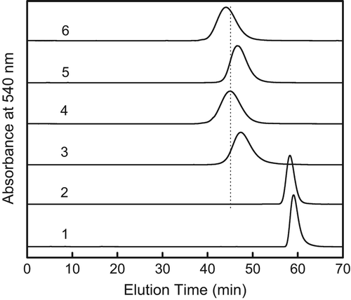 Figure 3. SEC analysis of modified Hbs: 1, HbA; 2, αα-Hb; 3, (Propionyl-PEG5K)6-αα-Hb; 4, (Propionyl-PEG5K)10-αα-Hb; 5, (Urethane-PEG5K)6-αα-Hb; 6, (Urethane-PEG5K)10-αα-Hb.