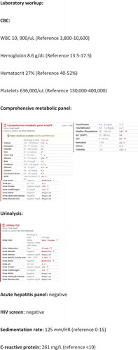 Figure 2. Laboratory workup.