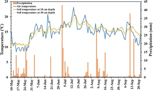 Figure 1. Temporal changes of air and soil temperatures and precipitation during the experiment.