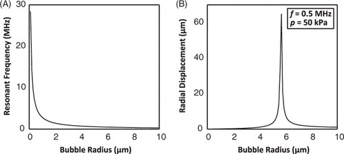 Figure 2. (A) Resonance frequency as a function of microbubble radius for free bubbles oscillating in the linear regime based on Equation 1. The polytropic constant is 1.06 in this example Citation[41]. (B) Radial bubble displacement as a function of equilibrium bubble radius for free bubbles oscillating in the linear regime under acoustic excitation at 0.5 MHz and 50 kPa peak pressure. The radial displacement was calculated based on equations for undamped linear oscillations in Citation[42] and does not account for constraints imposed by a bubble shell or the vessel wall, or for non-linear oscillations.