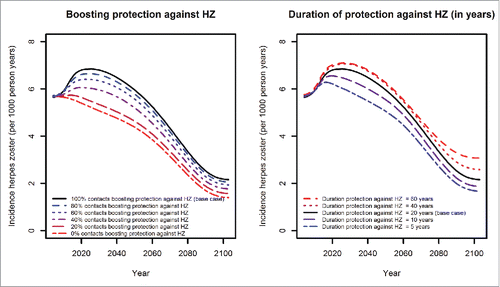 Figure 7. Effects of different boosting scenarios on HZ incidence: varying proportions of contacts boosting protection (left) and durations of protection against HZ in years (right).