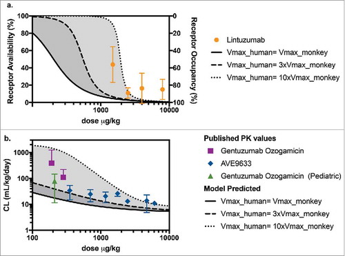 Figure 5. (a) Predicted levels of receptor availability using the PK-RO model for lintuzumab for a range of Vmax values. Symbols and error bars correspond to the standard deviations as reported in Ref. Citation54. (b) Comparison of predicted clearance values a function of dose when the target capacity in humans is 1-fold (solid line), 3-fold (dashed line) and 10-fold (dotted line) the observed value of Vmax in cynomolgus monkey; symbols represent clinical data using AVE9633Citation 59 and GO.Citation 57 , Citation 58