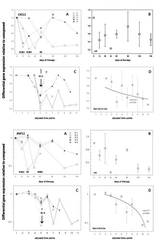 Figure 6. Inter-individual dose/time-to-gene expression patterns are depicted for CXCL5 (upper panel, (A) and RNF11 (lower panel, A) for each patient (#1–5). Corresponding mean values for each time point are provided in (B). No significant association over time was found. The time point, in which expected down-regulation of both genes for each patient was observed, appears above the x-scales. Applying an ordinal scale on the x-axis, hereby shifting individual dose/time-gene-expression pattern so that expected gene expression events align into the same time point (C), resulted in significant exposure-to-gene associations based on the time adjusted mean values for all patients (D). Error bars represent the standard deviation. Fitted functions are depicted in the graphs.