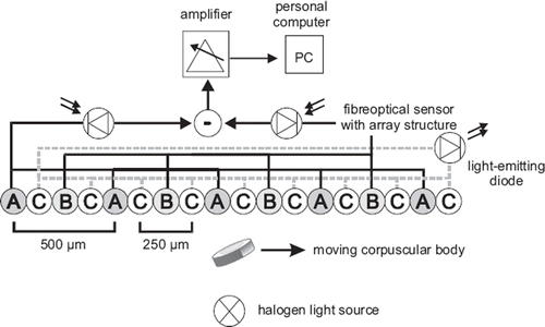 Figure 1. Schematic setup of the spatial filter anemometer for measurement of velocities of corpuscular particles in a multiphase flow pattern. Glass fibers of circuitry A and B function as the photo sensor differential grid, glass fibers C as transmitters of the light-emitting diode for exact positioning of the sensor. For details see text.