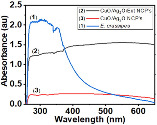 Figure 3. UV-Visible spectra of the aqueous crude leaf extract of E. crassipes (1) (0.01 g/25 ml, CuO/Ag2O/Ext NCP’s (2) (0.001 M) and CuO/Ag2O NCP’s (3) (0.001 M), at 25 °C with deionized water (1) and a mixed solvent of DMF/acetonitrile (1:3) of compounds (2) and (3), respectively.