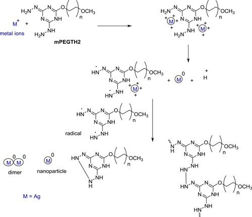 Scheme 2 Synthesis of mPEGTH2AgNPs.