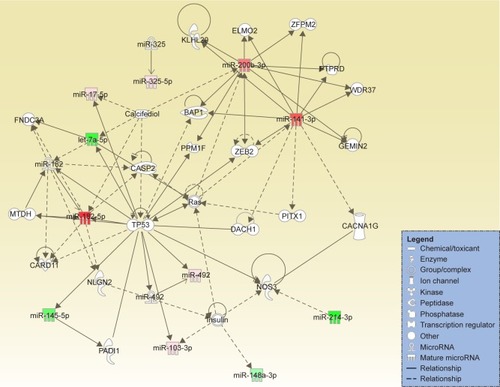 Figure 3 Network generated for the altered miRNAs in the analysis of ovarian cancer versus control. The upregulated miRNAs are displayed in red and the downregulated miRNAs in green.