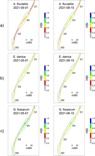 Figure 7. Habitat Suitability Index map for a) A. fluviatilis; b) E. danica; c) G. fossarum at the minimum discharge (0.02 m3/s) on two different days at the current situation (different restoration measures in D1, M1, D2, and M2). The colour represents each habitat suitability index class (grey: 0< HSI ≤0.2; red: 0.2< HSI ≤0.4; yellow: 0.4< HSI ≤0.6; green: 0< HSI ≤ 0.8; blue: 0.8< HSI ≤1).