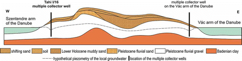 Fig. 2 Conceptual geological model of the Szentendre Island (modified after Góczán Citation1955).
